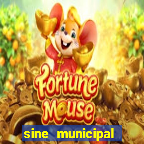 sine municipal porto velho